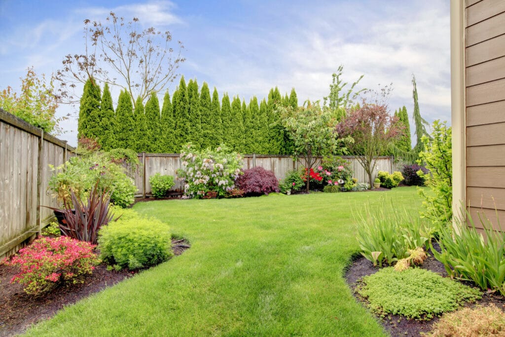 grassy backyard with flowers