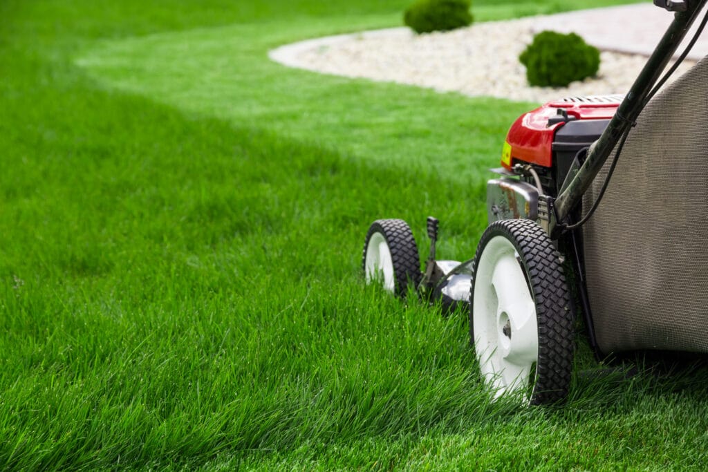 a lawn mower on very green grass