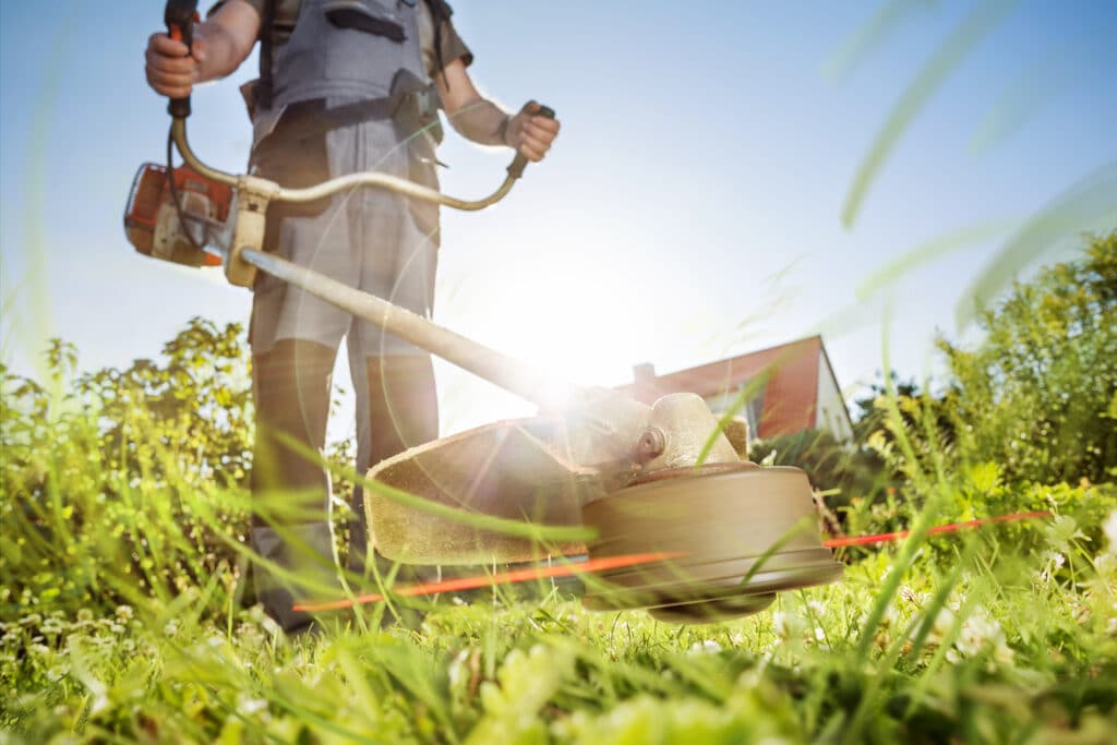 Dramatic view of a brushcutter trimming grass.