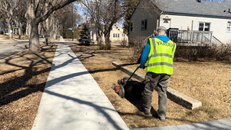 Early spring clean up