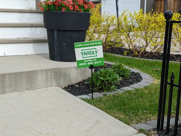 Yardly Grass Cutting Service