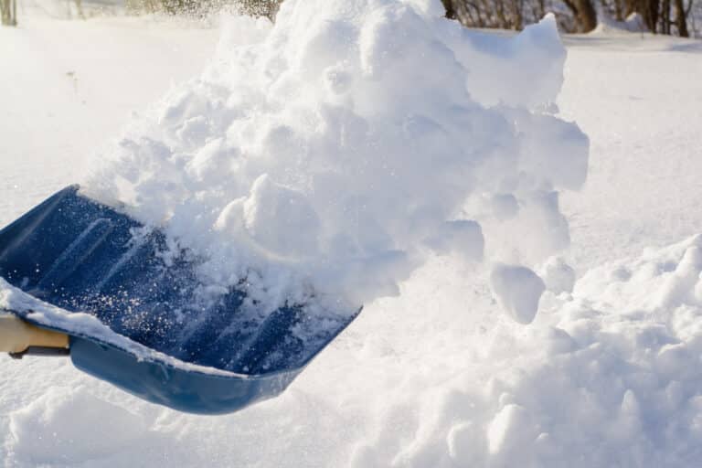 Compacted ice and freeze