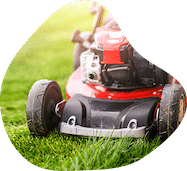 Yardly Lawn Mowing