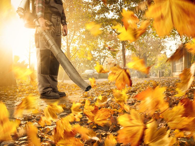 Spring and Fall Cleanup