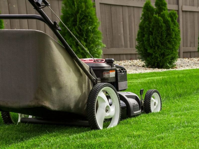 Lawn mowing service