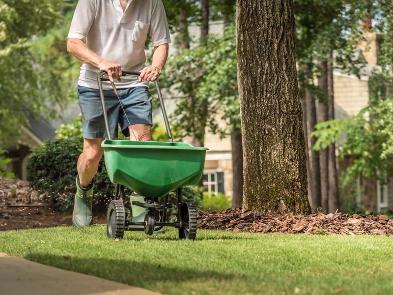 Weed Control and Fertilization